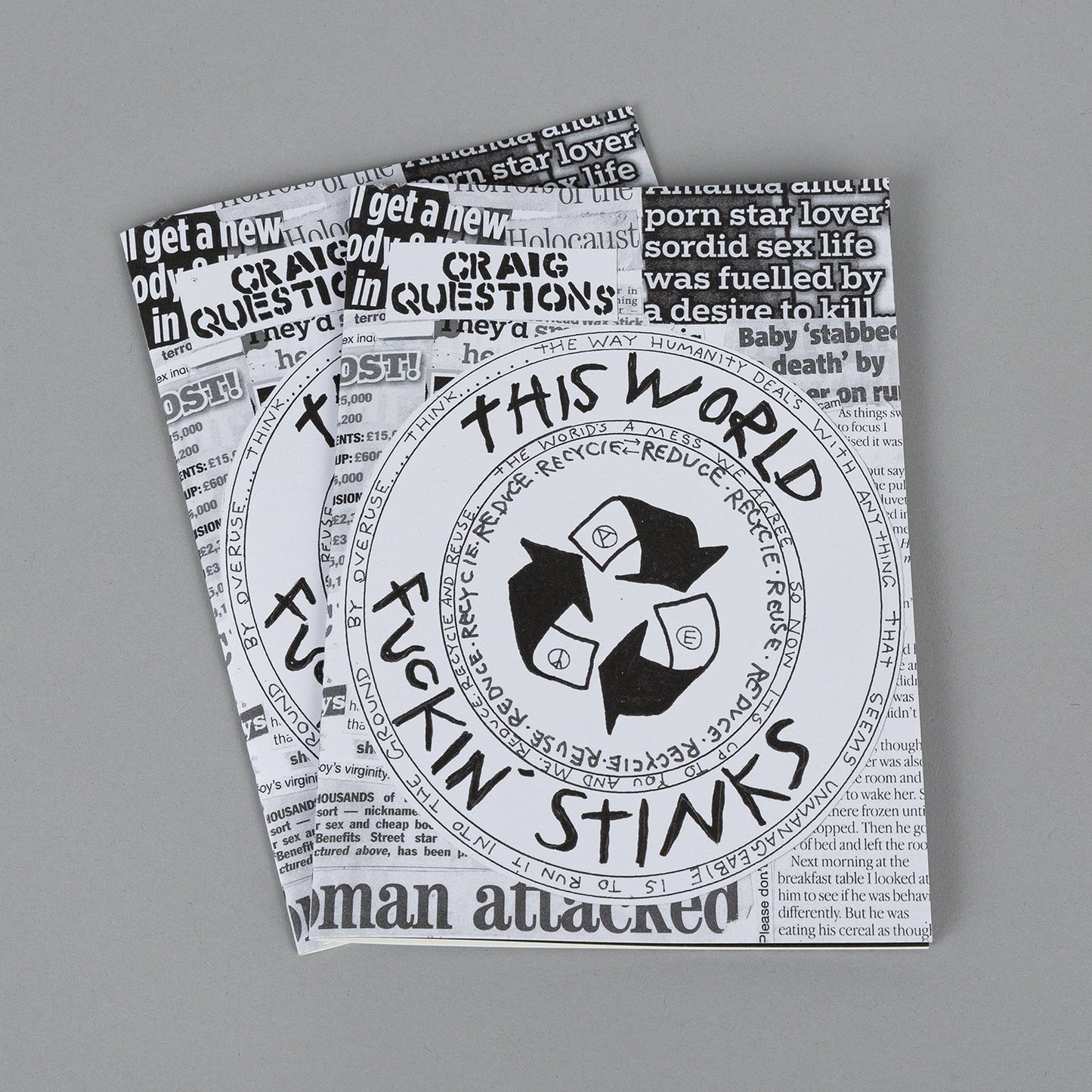 This world fuckin stinks - Zine