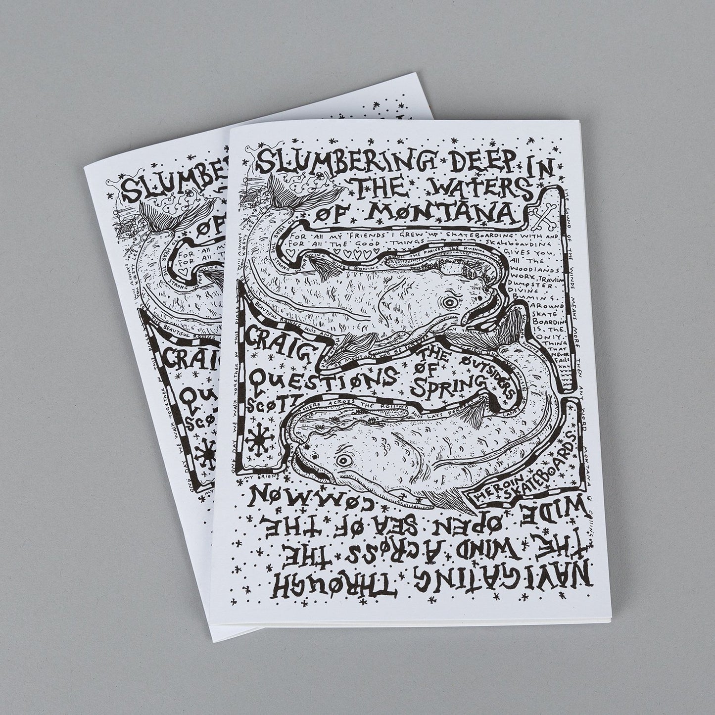 Slumbering deep in the waters of Montana - Zine